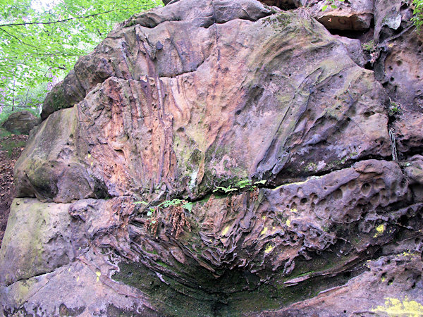 Sandstone rich in iron oxides near Třídomí.