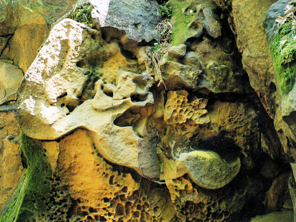 Interesting features of the sandstone rocks of the Modlivý důl gorge.