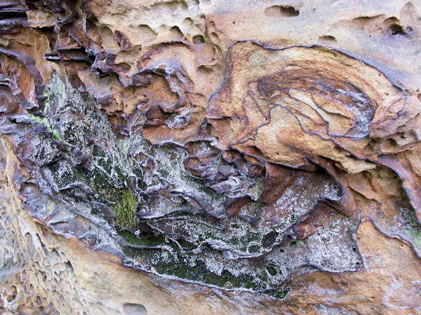 Sandstone rich in iron oxides near Třídomí.