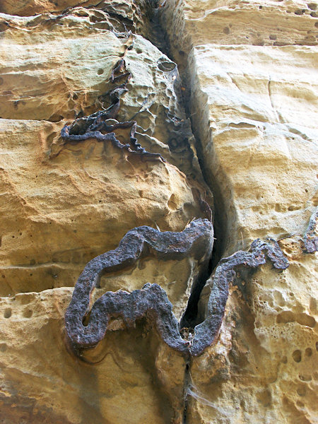 Iron-rich layers in the sandstone rock under the Tisový vrch hill.