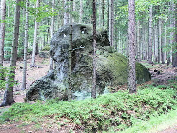 A dog enchanted into the rock under the ruins of Milštejn castle.