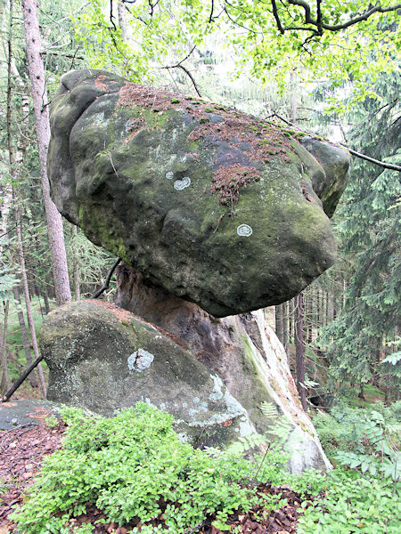 Skalní hřib na Ameisenbergu.