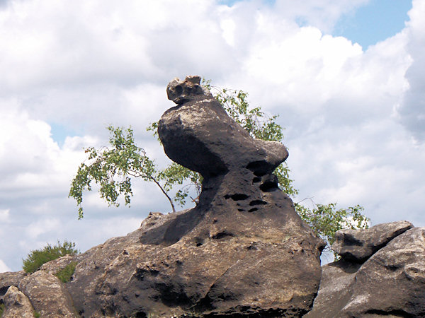 The rock formation called Taube (pigeon) on the Brandhöhe hill (Germany).