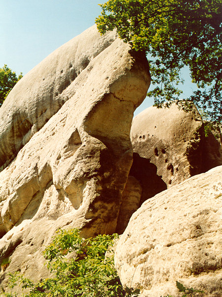 Die Felsen am Rande der Bílé kameny (Elefantensteine) bei Jítrava (Pankratz).