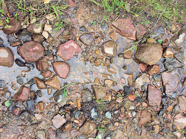 Red coloured quartzite fragments on the path near Nová Huť.