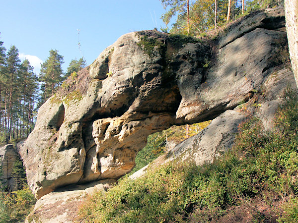 A rock-window in the woode behind of Cvikov.