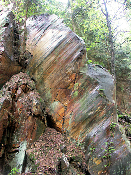 Tectonicall polished rock in an abandoned quarry under the Sedlecký Špičák-hill.