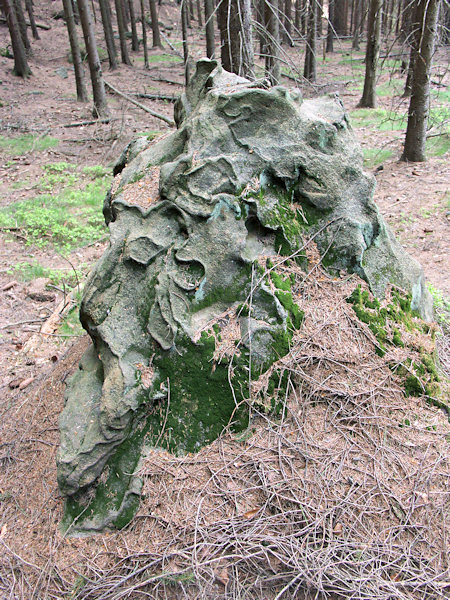 Gewellte eisenschüssige Lagen im Sandsteinfelsen unweit der Vraní skály (Rabensteine).