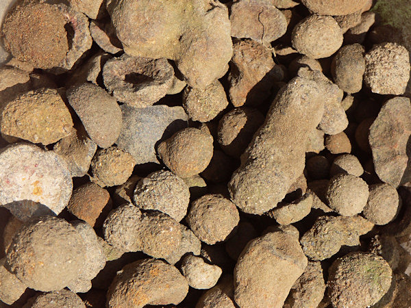 Iron-oxide balls from the fields near Slunečná.