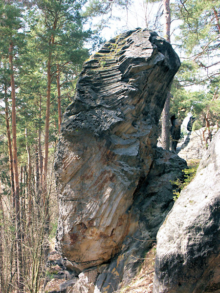 The rock formation with sandstone columns in Dutý kámen near Cvikov.