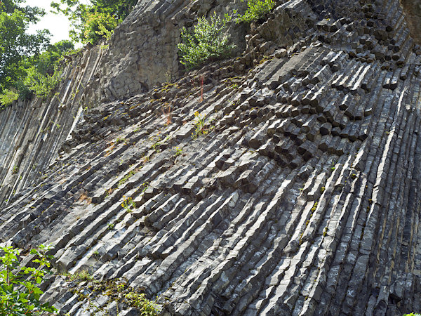 Die beeindruckenden, vertikal stehenden sechseckigen Basaltsäulen am Zlatý vrch (Goldberg) begeistern den besonders geologisch Interessierten sehr. Ein Musterbeispiel des Tertiärvulkanismus vor 30 Millionen Jahren.