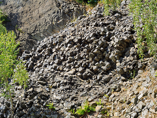 The lying basalt columns of the Stříbrný vrch.