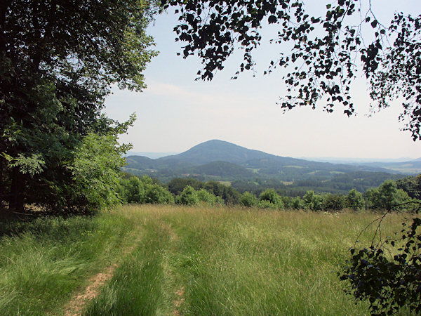 Blick von der Wiese oberhalb von Trávník (Glasert) auf den Jezevčí vrch (Limberg) mit dem niedrigeren Jelení vrch (Segenberg) im Vordergrund.