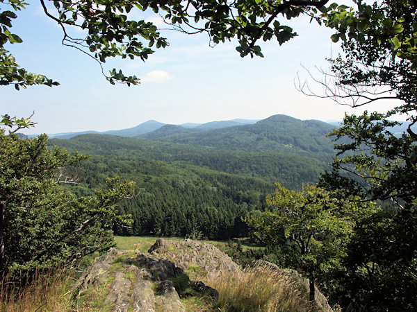 Blick vom Zlatý vrch (Goldberg) nach Nordosten auf den Kamm des Lausitzer Gebirges. Im Vordergrund fällt der Javor (Grosser Ahrenberg) auf, mit dem nach links hinauslaufenden niedrigerem Hřebec (Schindelhengst), ganz links vor ihm ist der niedrigere Široký kopec (Breiteberg). Im Hintergrund ragt die auffallende Kuppe des Jedlová (Tannenberg) herauf, hinter dem sich der abgerundete Gipfel des Velká Tisová (Grosser Eibenberg) erhebt