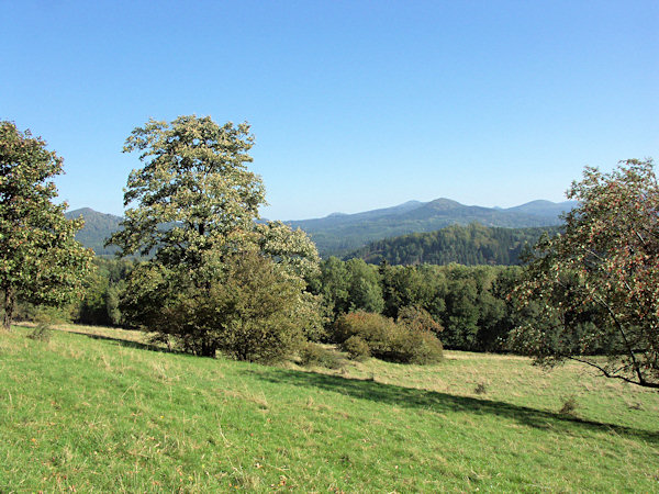 Blick vom Ovčácký vrch (Schäferberg) auf den Kamm des Lausitzer Gebirges. Links zwischen den Bäumen lugt der Javor (Grosser Ahrenberg) hervor, im rechten Teil des Bildes sieht man von links nach rechts die Gipfel des Malý Stožec (Kleiner Schöber) und Jedlová (Tannenberg), der auffallendste Berg im Vordergrund ist der Sokol bei Kytlice (Hackelsberg), hinter ihm ragt der spitzige Klotz des Toštejn (Tollenstein) herauf, ganz rechts sieht man den Srní hora (Mittelberg).