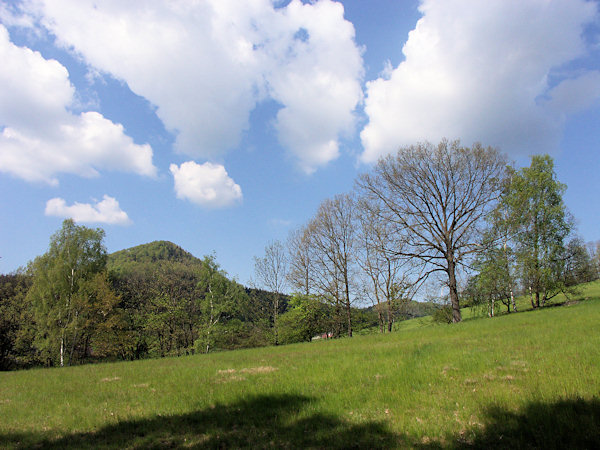 A spring meadow with the Klíč hill in the background.