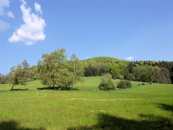 Meadows on the slopes of Rousínovský vrch hill.