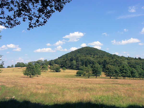 Javorek-hill and the meadows under the Studenec-hill.