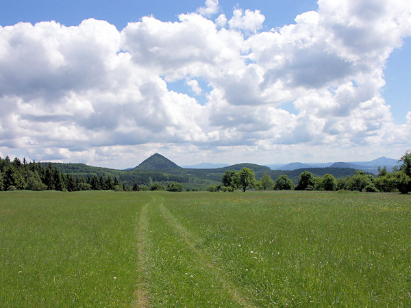 View of the grassland on the peak of the Polevský vrch in the direction to the Klíč-hill.