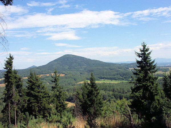 Blick auf den Jezevčí vrch (Limberg) von Westen.