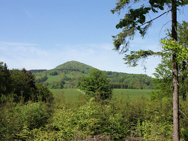 Blick auf Lausche von Kamenný vrch (Steinberg).