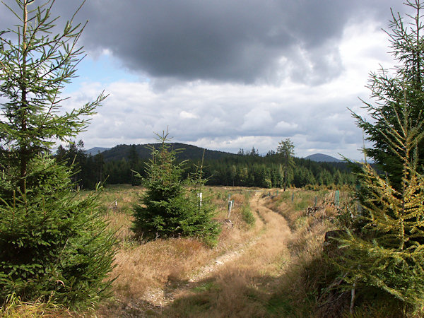 View from the flat top of Kobyla-hill to Suchý vrch. In the background on the right is Jezevčí vrch-hill and on the left is Hvozd.