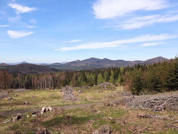 Der Blick vom abgeholzten Hang des Medvědí hůrka (Bärenfang) in Richtung Studenec (Kaltenberg).