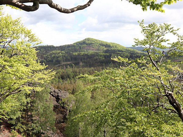 Průhled mezi stromy z vrcholu Chřibského vrchu na Javor.