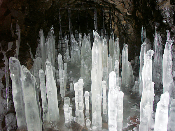 Ice-decoration of the orifice of the adit in the basalt quarry at the slope of the Kozlí-hill.
