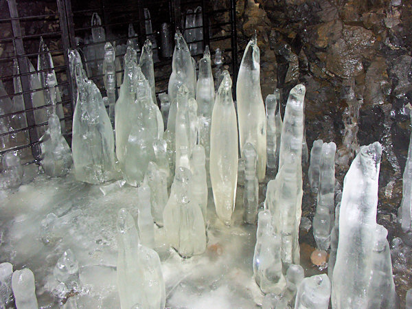Ice-decoration of the orifice of the adit in the basalt quarry at the slope of the Kozlí-hill.