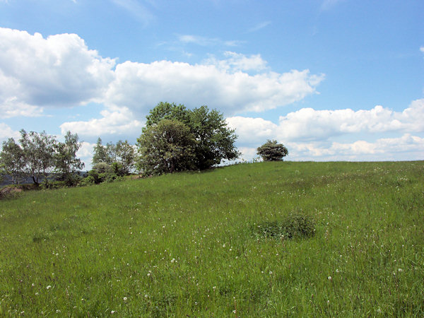 On the Světlický vrch hill.