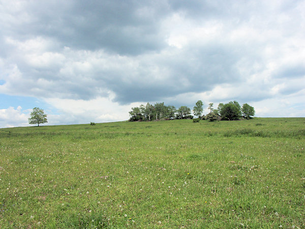 Meadows above the village Horní Podluží.