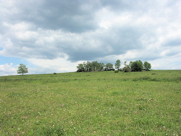 Wiesen über Horní Podluží (Obergrund).