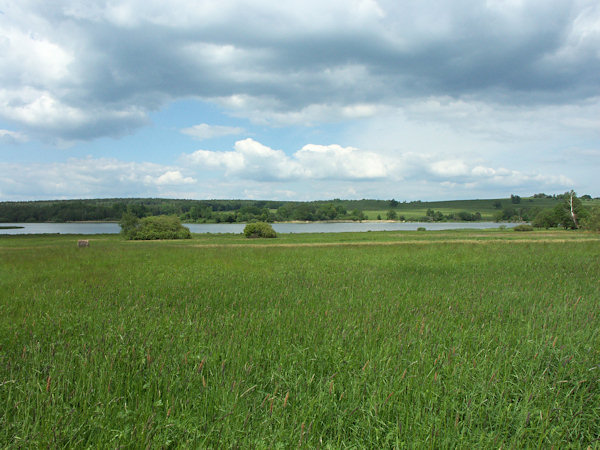 At the pond Velký rybník.