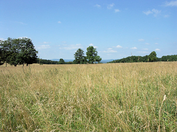 Meadow under the hill Studenec.