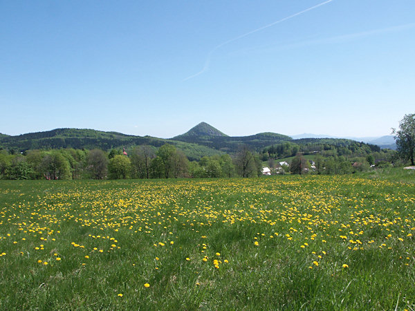 Jarní louka nad Polevskem.