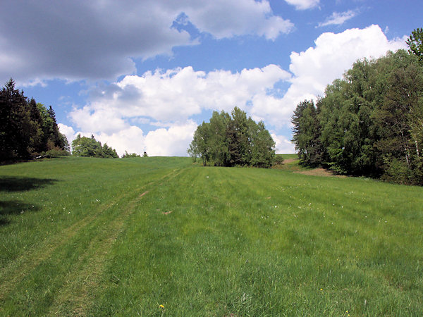 A meadow near of Svor.