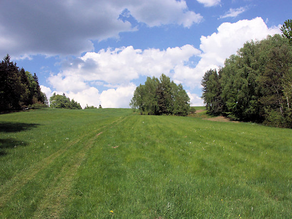 Wiese hinter Svor (Röhrsdorf).