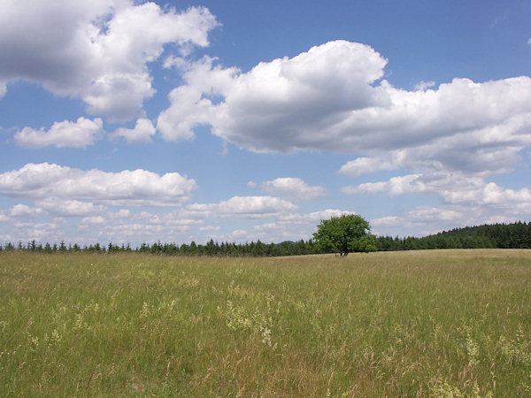 On the Polevský vrch hill.