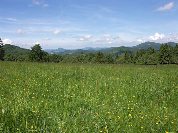 Wiese unterhalb des Klučky (Klutschken) mit Aussicht zum Studenec (Kaltenberg) und Růžovský vrch (Rosenberg).