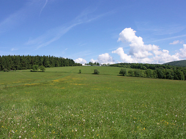 Meadows on the Polevský vrch-hill.