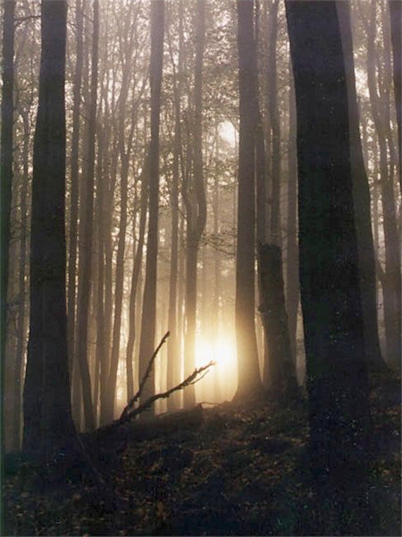 Mist on the Studenec-hill.