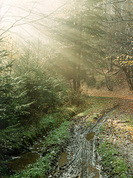 A muddy autumn.