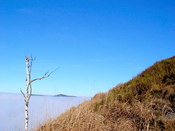 Aussicht vom grasbewachsenen Hange des Klíč auf den Pěnkavčí vrch.