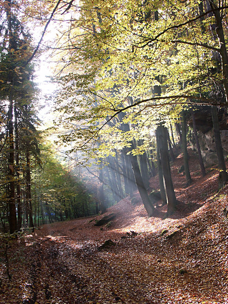 Sonnenstrahlen im Morgendunst.