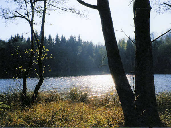 At the Jedlovské rybníky ponds.