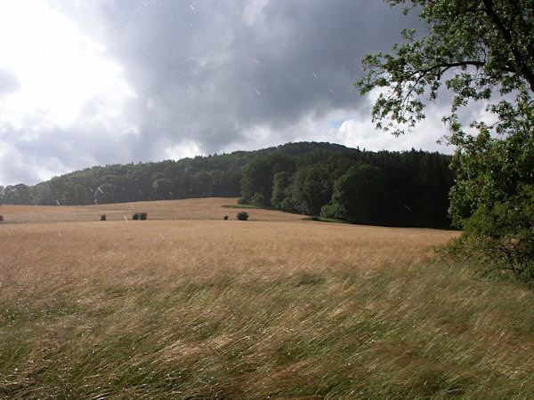 Ein sommerlicher Regenschauer.