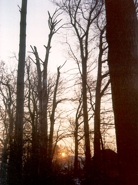 Dämmerung im Winter.