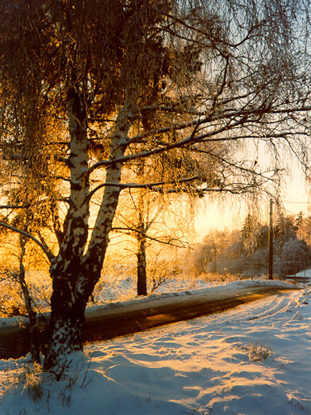 Ein goldener Spätnachmittag.