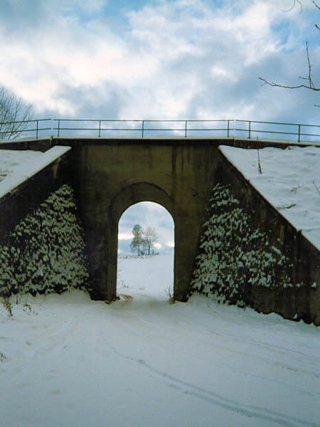 Winter near of Rousínov.